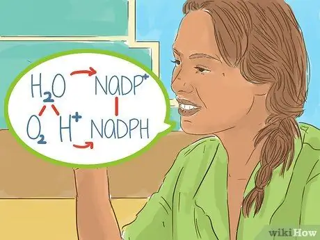 Объясните фотосинтез Шаг 5