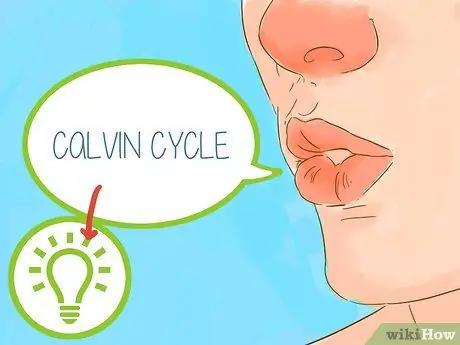 Объясните фотосинтез Шаг 6