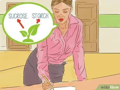 Объяснить фотосинтез Шаг 9