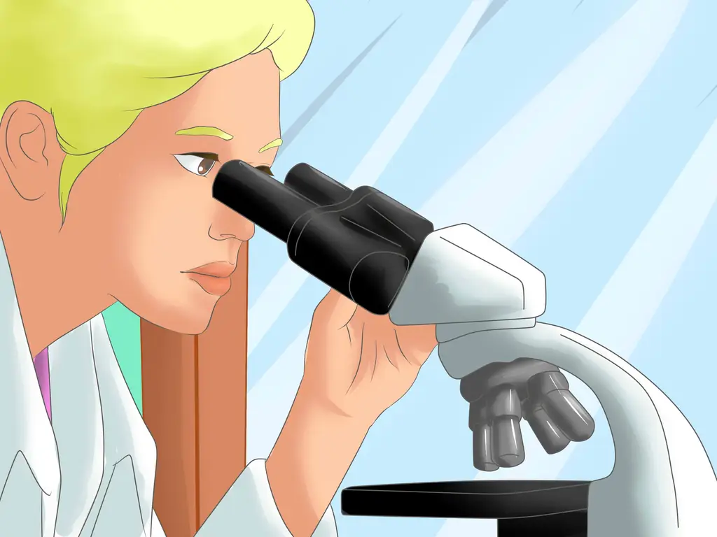 Как отличить прокариот от эукариот