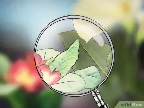 Тестовые реакции насекомых на цвет Шаг 10