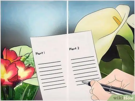 Тестовые реакции насекомых на цвет. Шаг 13