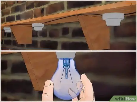 Тестовые реакции насекомых на цвет Шаг 6