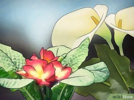 Тестовые реакции насекомых на цвет Шаг 9