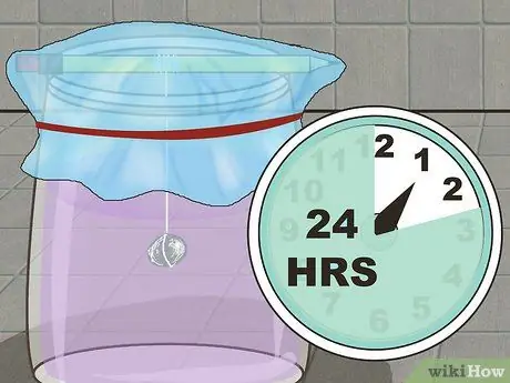 Сделайте кристаллы квасцов Шаг 11