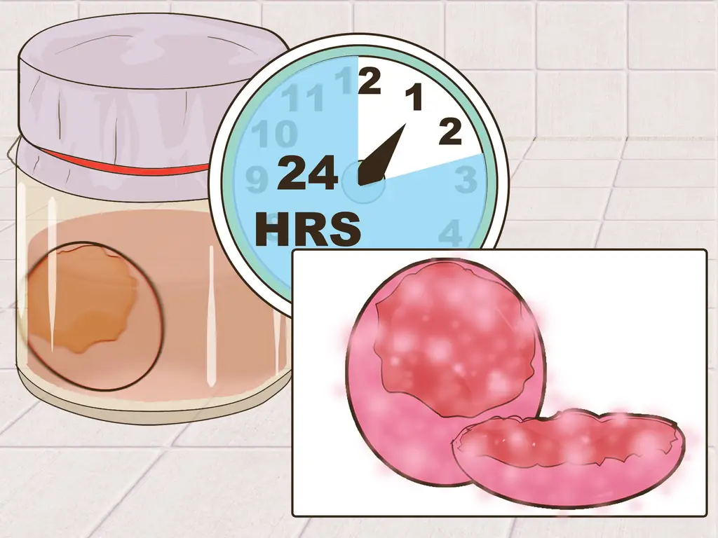 3 способа выращивания кристаллов квасцов