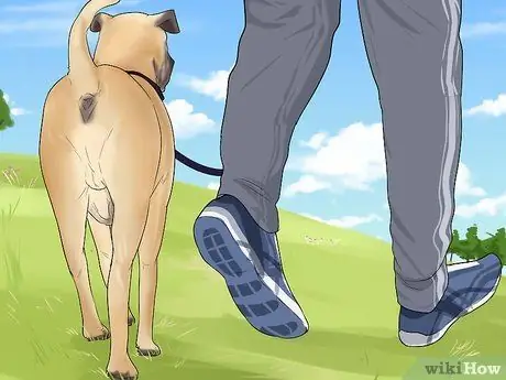 Сжигайте больше калорий во время ходьбы Шаг 11