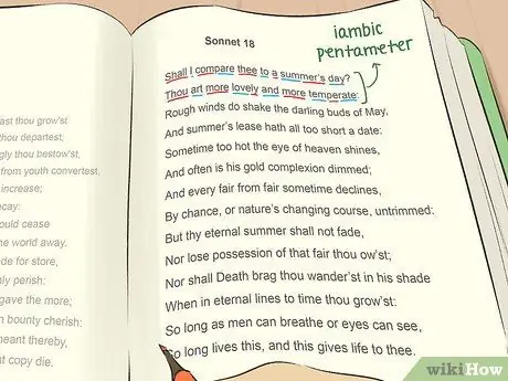 Сравнить стихи Шаг 2