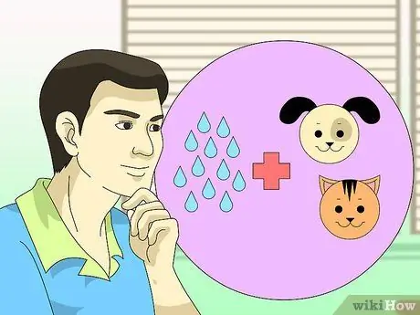 Понять понятие метафоры Шаг 1