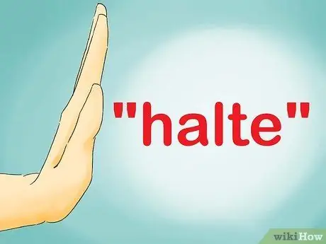 Скажи "Стоп" по-французски, шаг 04