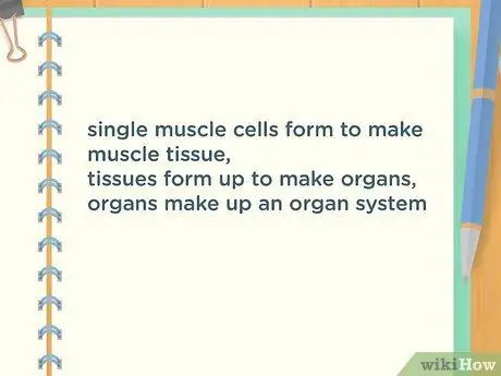 Получите хорошие оценки на уроке биологии, шаг 16