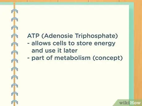 Получите хорошие оценки на уроке биологии, шаг 17