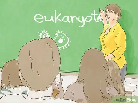 Получите хорошие оценки на уроке биологии, шаг 5