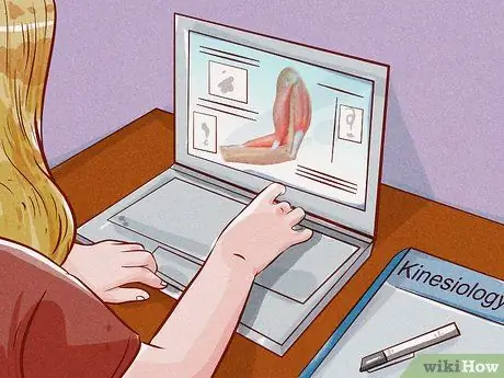 Изучение кинезиологии, шаг 4