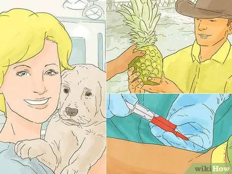 Изучение токсикологии, шаг 1