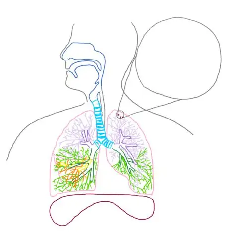 Bubble_respsyst_gb2653