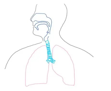 Passageway_respsyst_gb2653