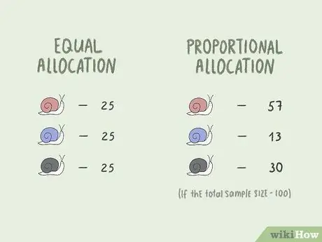 Выполните случайную выборку, шаг 10