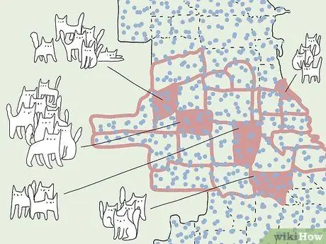 Выполните случайную выборку, шаг 15