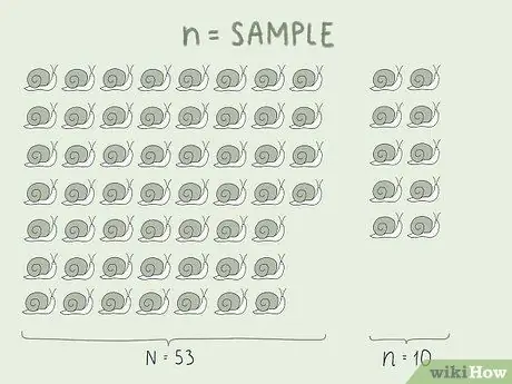 Выполните случайную выборку, шаг 3
