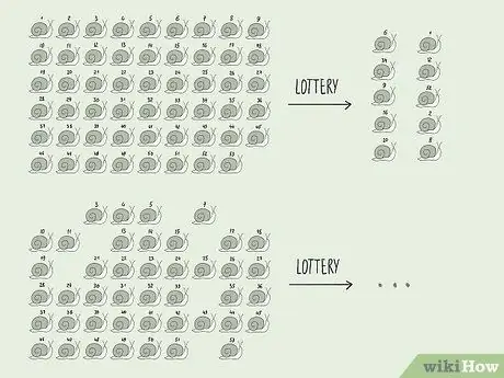 Выполните случайную выборку, шаг 7