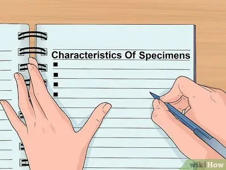 Составьте дихотомический ключ Шаг 1