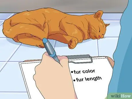 Сделайте дихотомический ключ Шаг 3