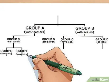 Составьте дихотомический ключ Шаг 8