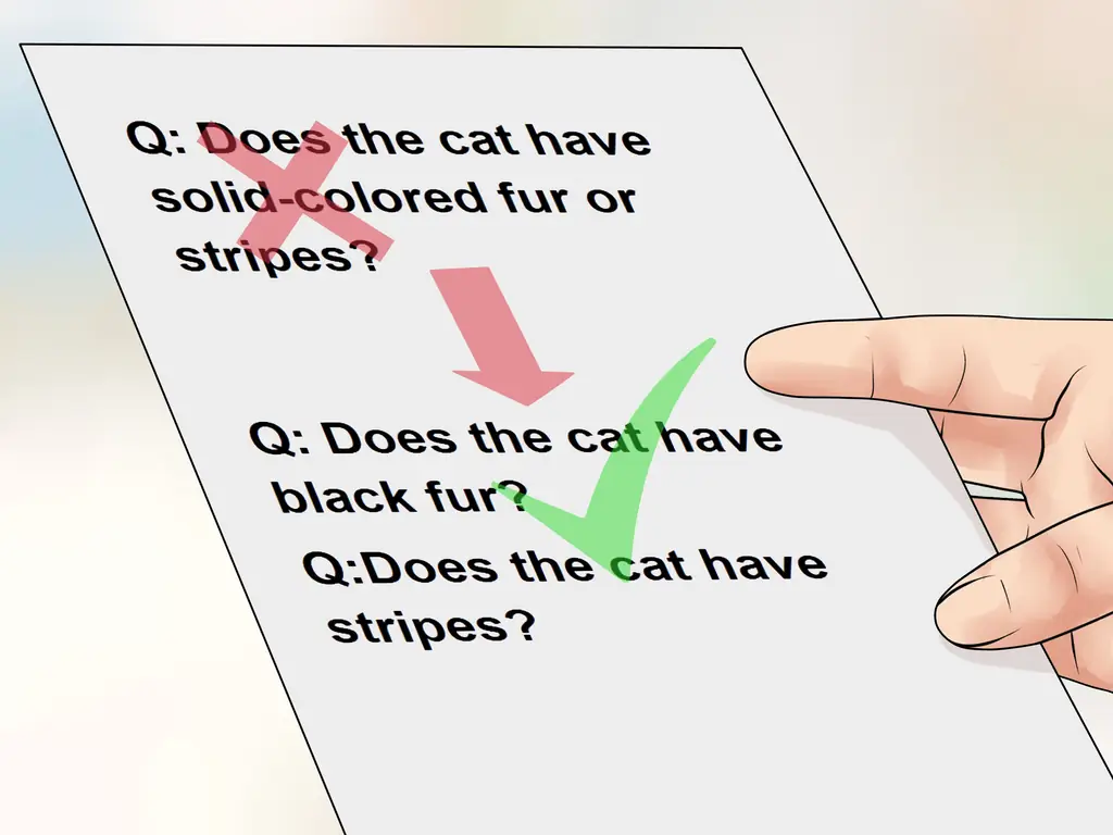 Как составить дихотомический ключ: 10 шагов (с изображениями)