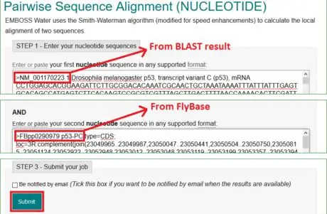 Step07_123Combined_2