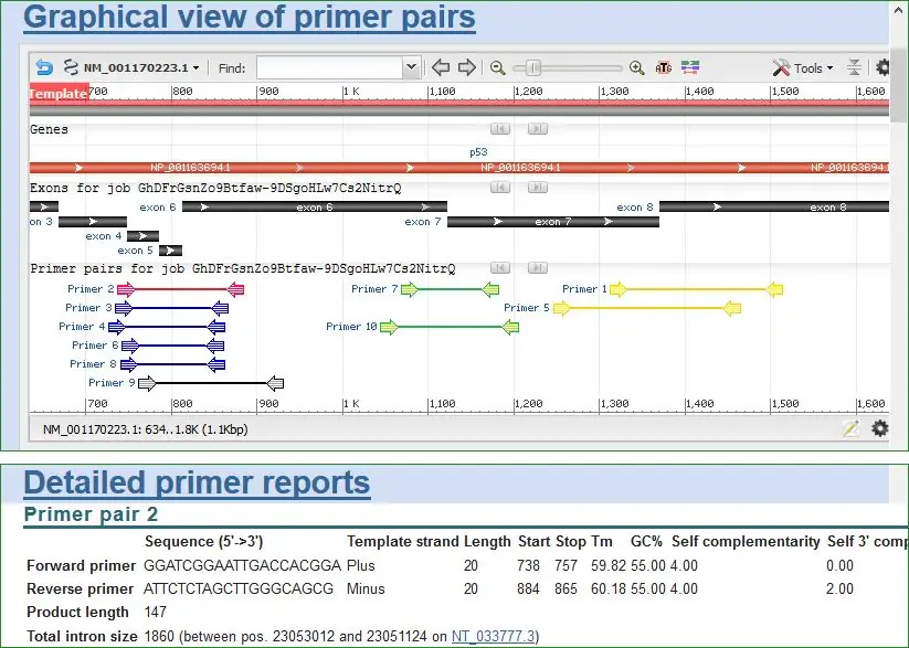 Как создать праймеры для ПЦР (с изображениями)