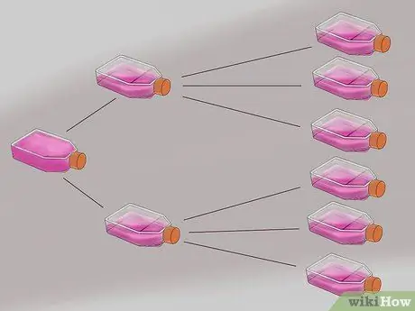 Выполните этап 12 культивирования клеток