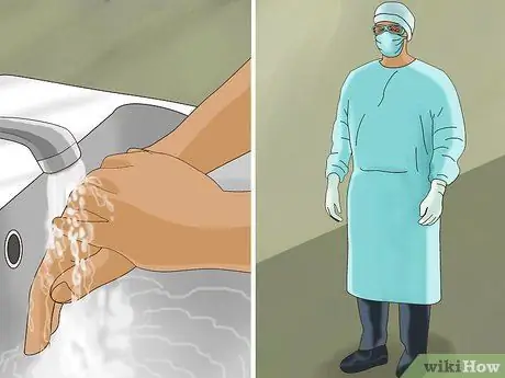 Сделайте этап 2 культивирования клеток