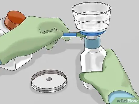 Сделайте этап 3 культивирования клеток