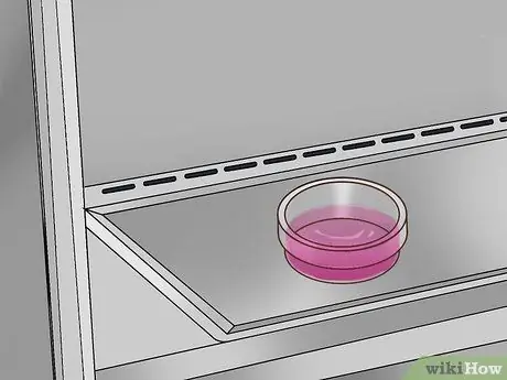 Выполните этап 5 культивирования клеток