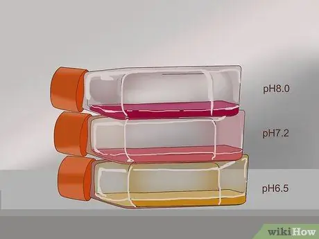 Сделайте этап 9 культуры клеток