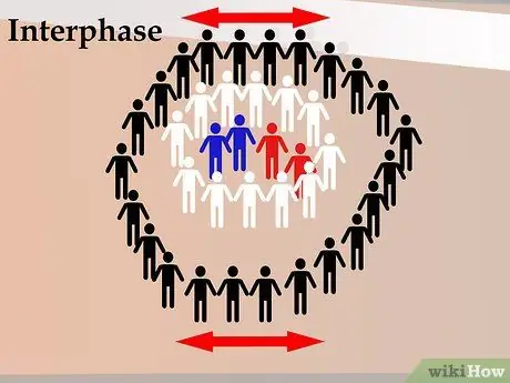 Танец Митоза Шаг 6