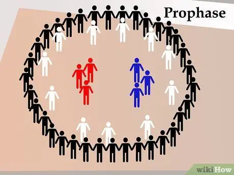 Сделайте танец митоза, шаг 7