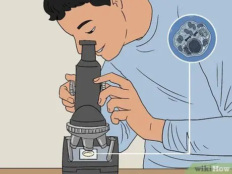 Определение митохондрий Шаг 11