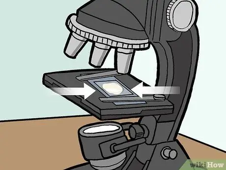 Определение митохондрий Шаг 9