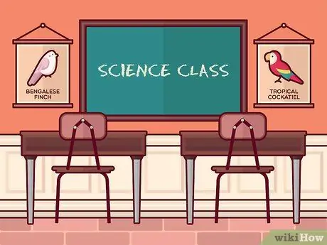 Изучение животных, шаг 1