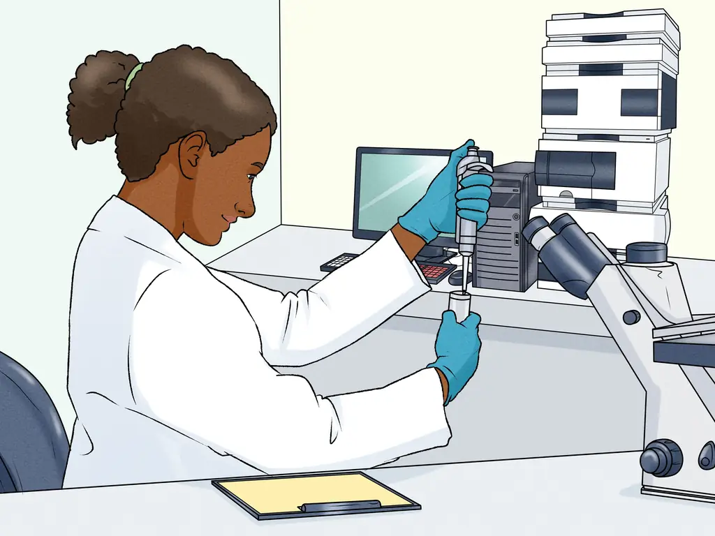 Как проводить высокоэффективную жидкостную хроматографию (ВЭЖХ)