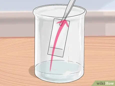 Выполните тонкослойную хроматографию, шаг 9