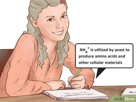 Изучение химических реакций аммиака Шаг 3