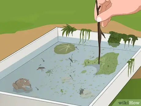 Погружение в пруд, шаг 10