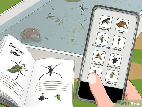 Погружение в пруд, шаг 12