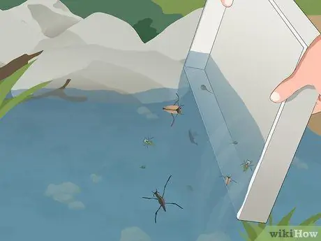 Погружение в пруд, шаг 13