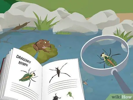 Погружение в пруд, шаг 4