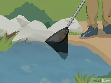 Погружение в пруд, шаг 7