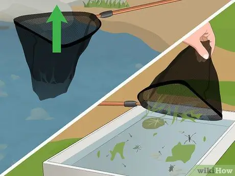 Погружение в пруд, шаг 9